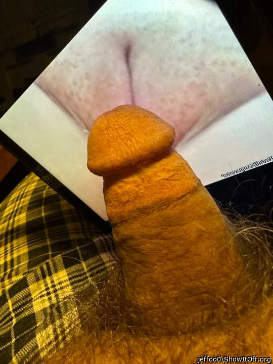 Tribute #3 for Cutevagina