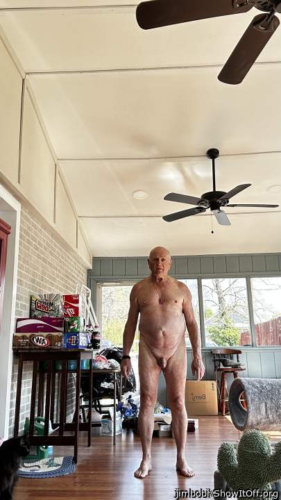 Adult image from jimbobi
