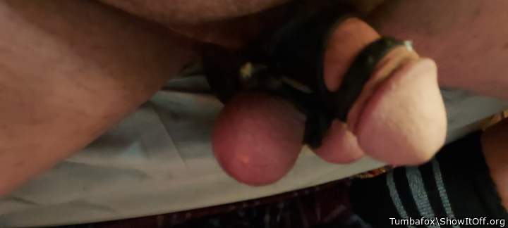Adult image from Tumbafox