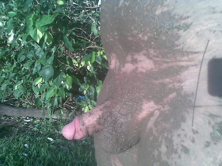 Adult image from 450