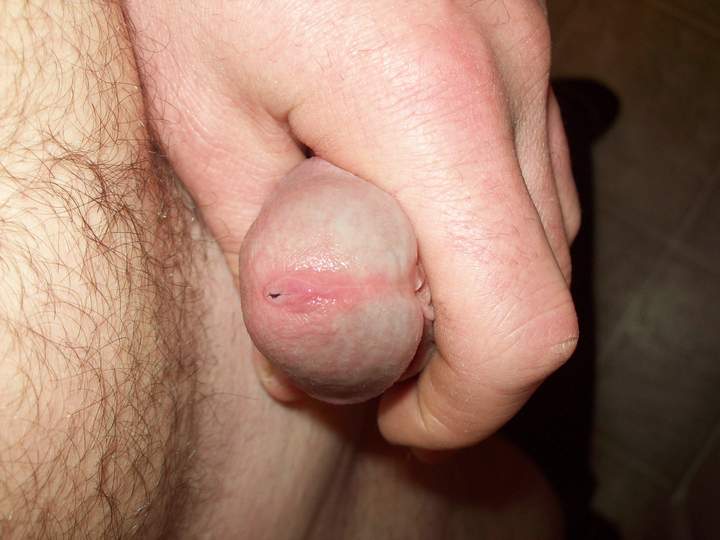 Adult image from Hornyashell