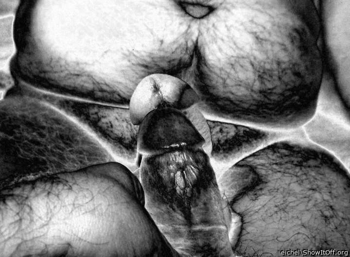 hairy bears