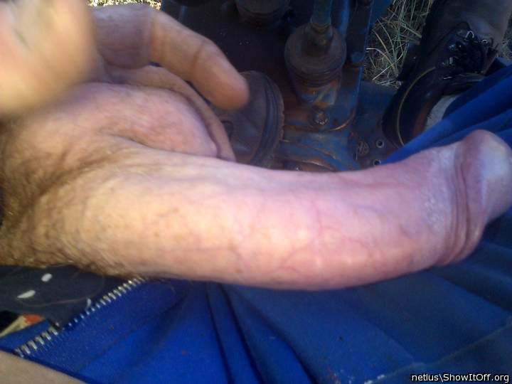 Adult image from netlus