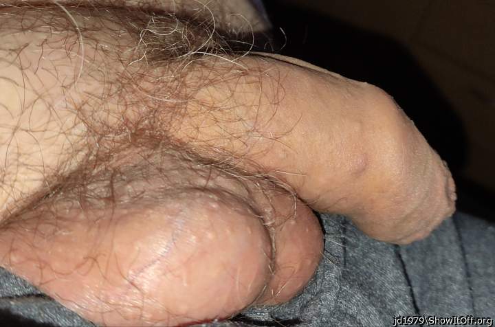 Adult image from jd1979