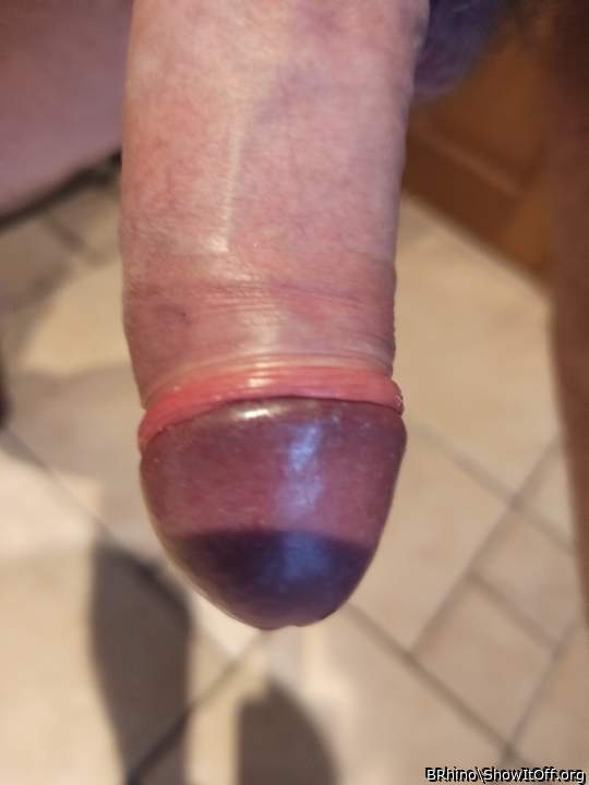 Adult image from BRhino