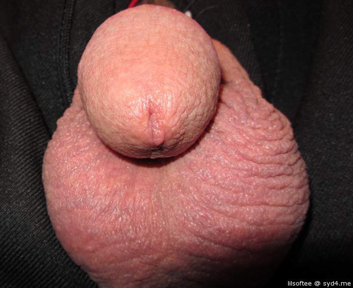 Adult image from lilsoftee