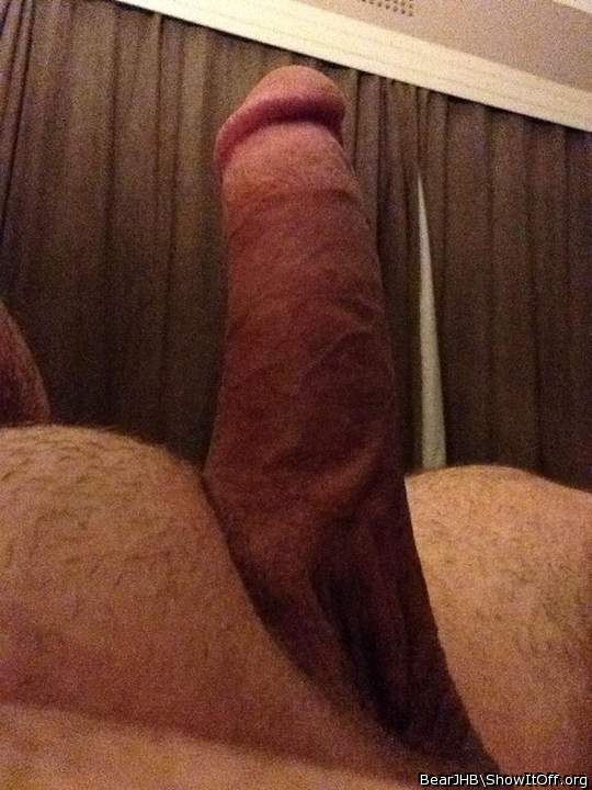 Adult image from BearJHB