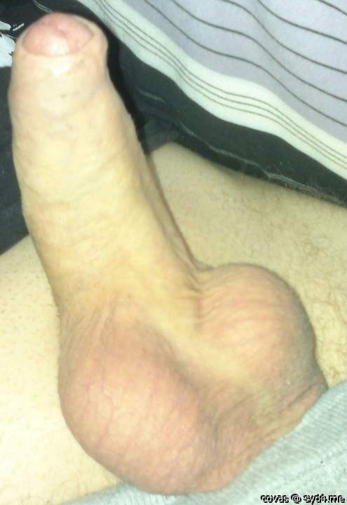 Adult image from covas