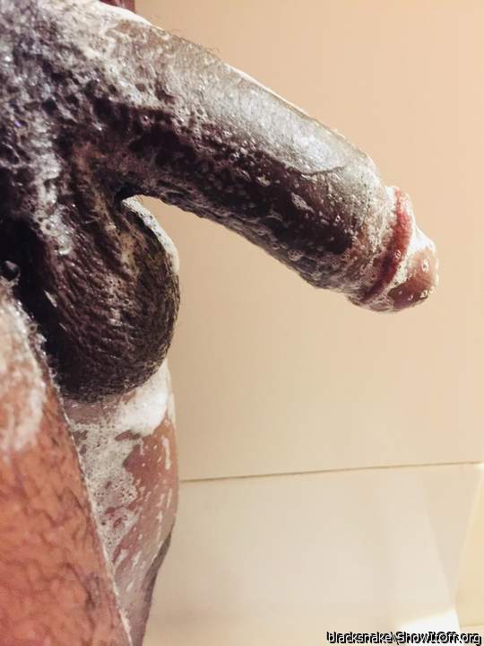 Adult image from blacksnake
