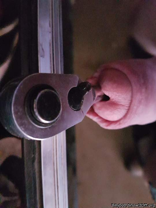 Adult image from billybob