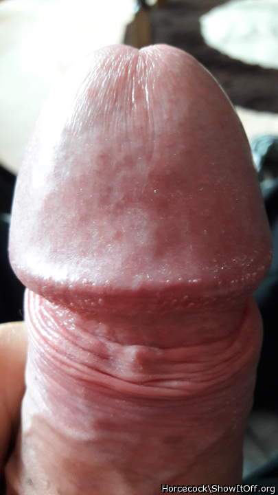 Adult image from Monster