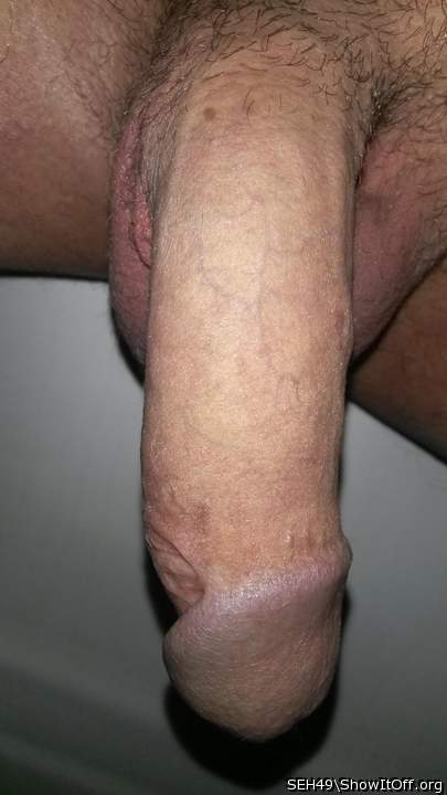 Adult image from SEH49