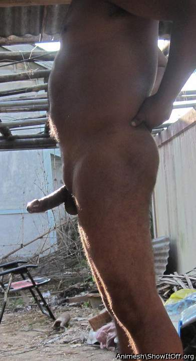 Adult image from Animesh