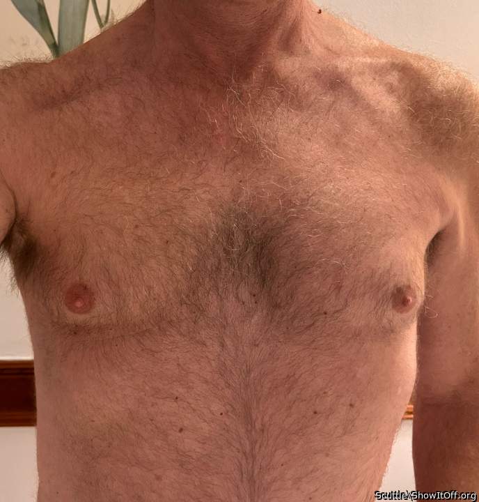 Adult image from Scuttle