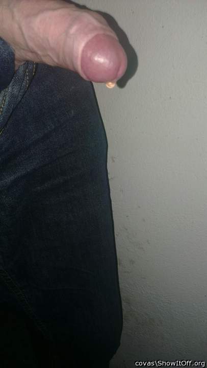 Adult image from covas
