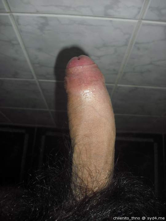 Adult image from chilenito_thno