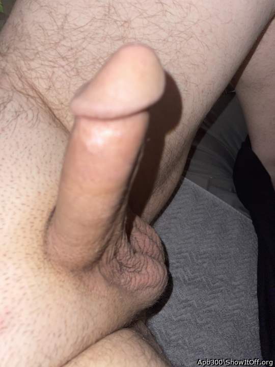 Adult image from Apb300