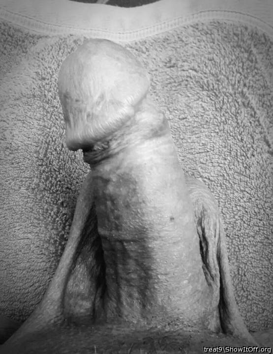 Adult image from treat9