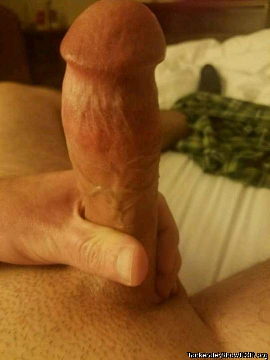 Adult image from Tankerale