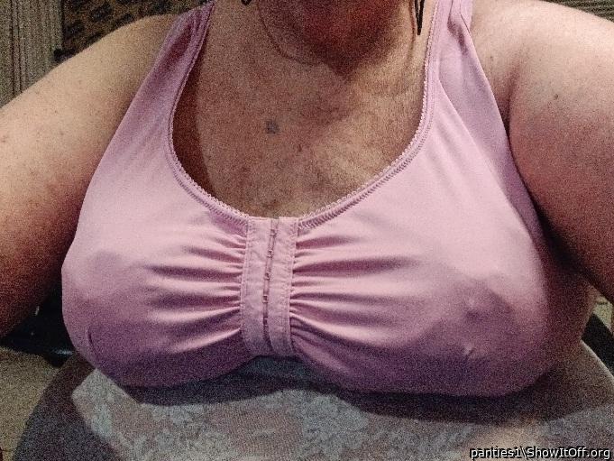 Adult image from panties1