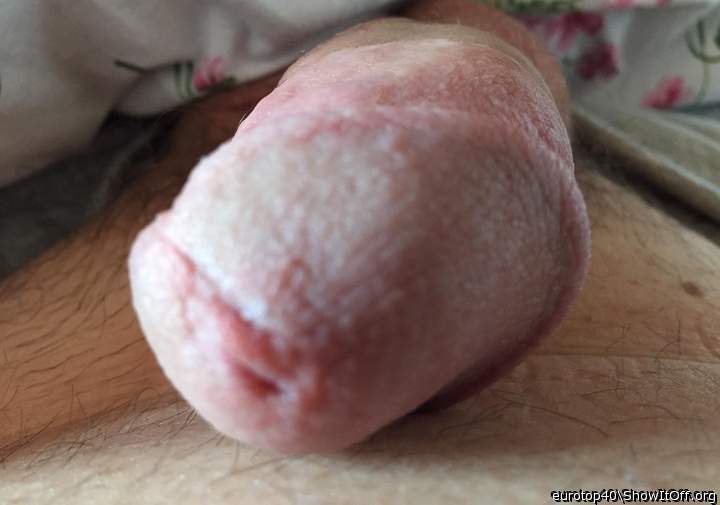 Adult image from eurotop40