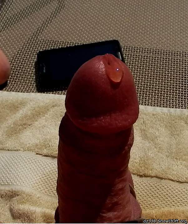 Adult image from dz338