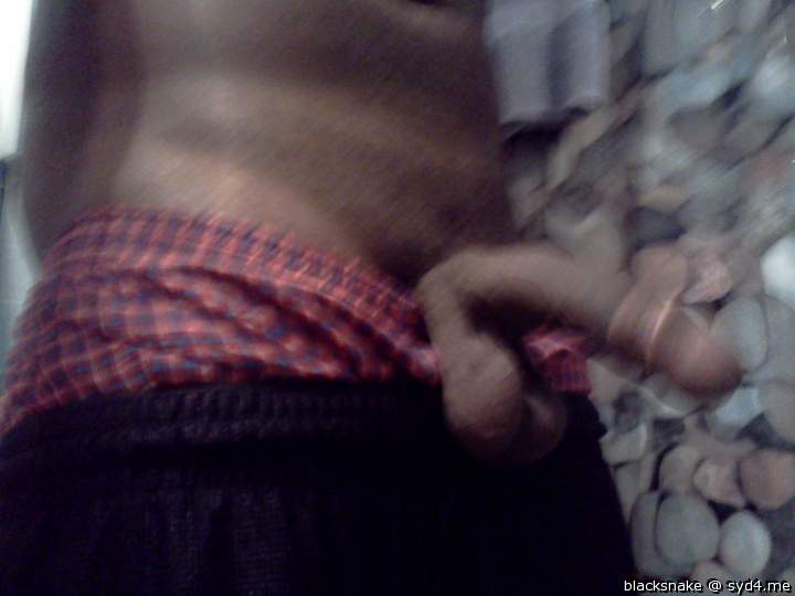 Adult image from blacksnake