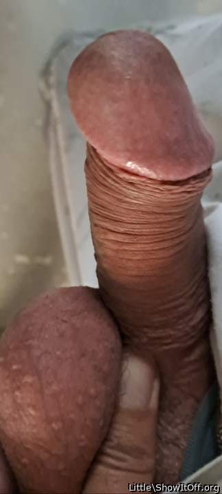 Adult image from Little