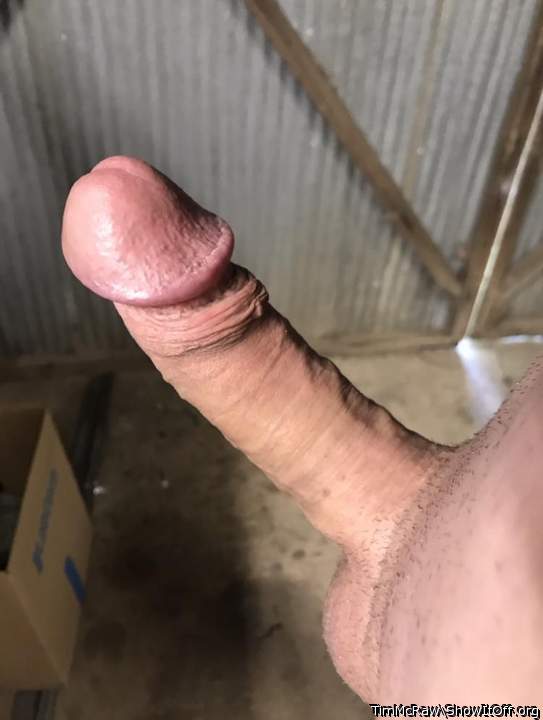 Adult image from TimMcRaw