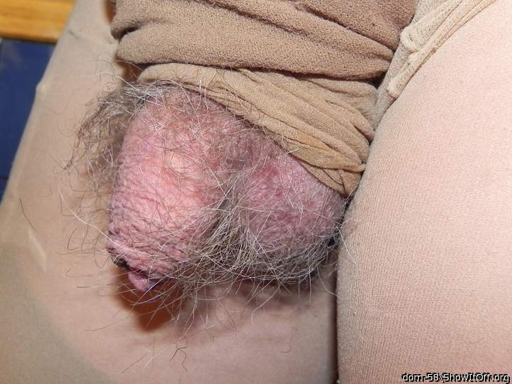 Adult image from dom-58