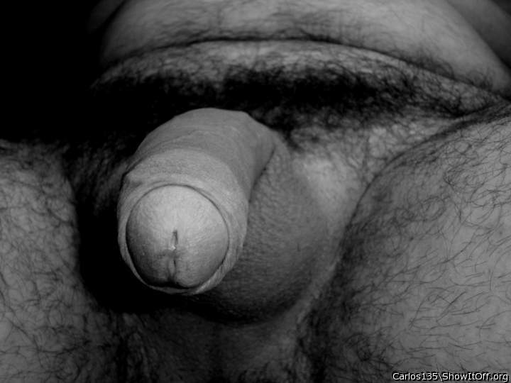 Adult image from Carlos135