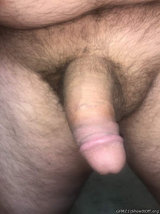 Adult image from GFMZ1