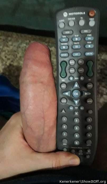 Adult image from Kenerkener