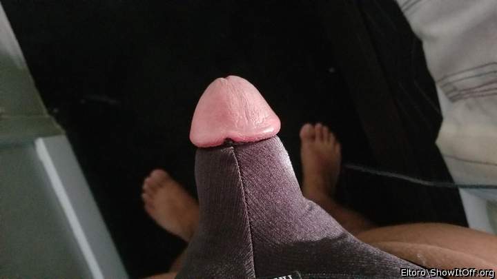 Adult image from eltoro