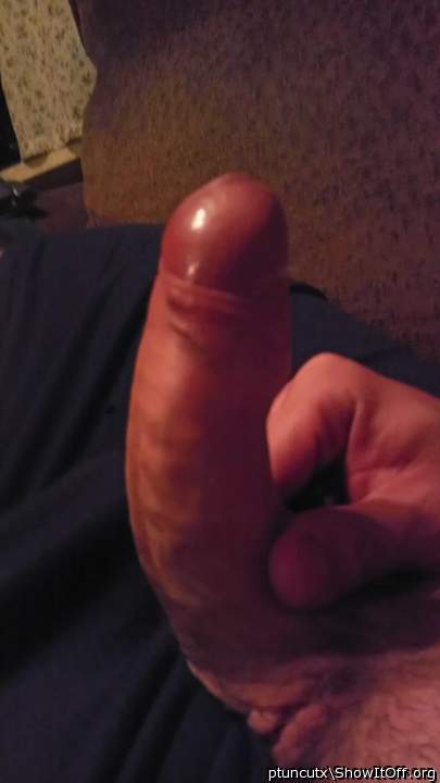 Adult image from ptuncutx