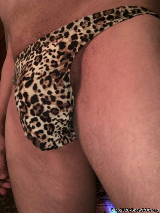 Adult image from Pibo2020