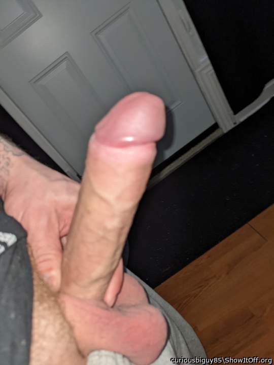 Adult image from curiousbiguy85