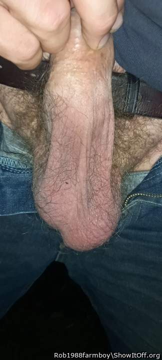 Beautiful hairy sac!  I�d love to sniff, lick and possibly s