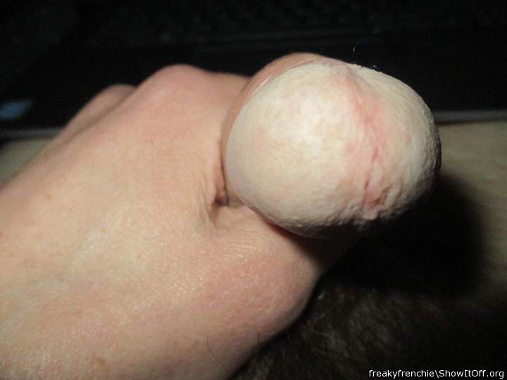 Adult image from freakyfrenchie