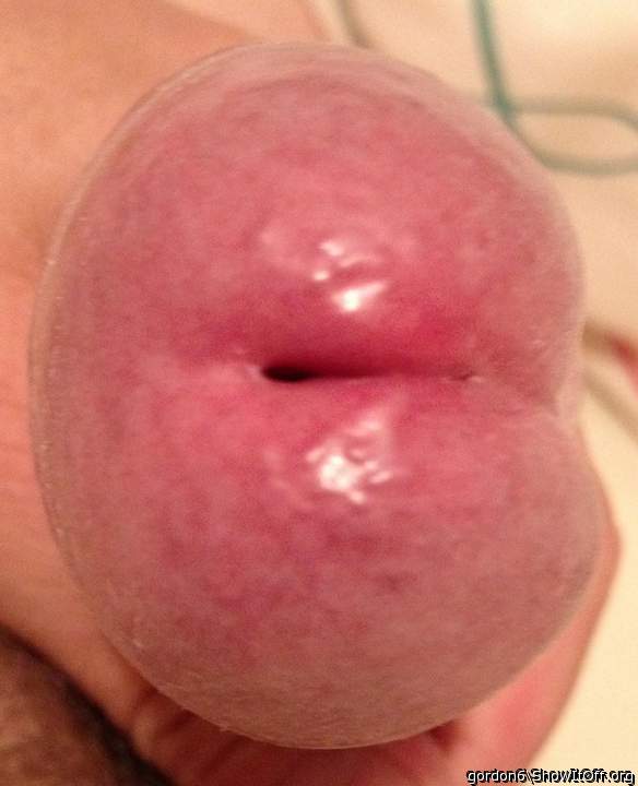 Adult image from gordon6