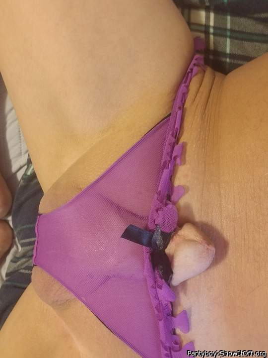 Adult image from Pantyboy