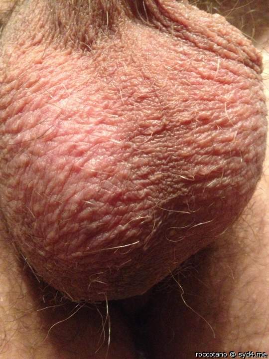 Adult image from roccotano
