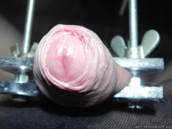 Adult image from dom-58