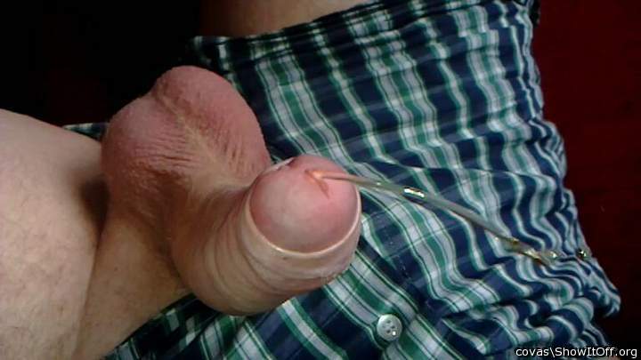 Adult image from covas