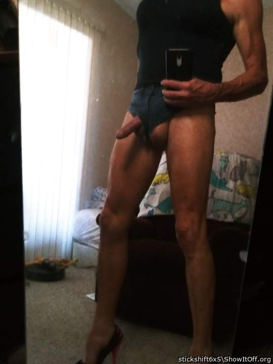 Adult image from stickshift6x5