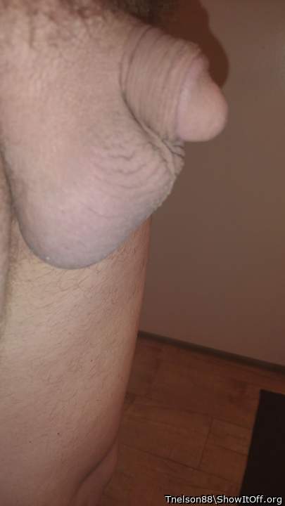 Adult image from Tnelson88
