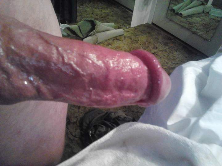 Adult image from fish4free