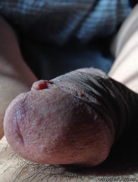 Adult image from eusay1587