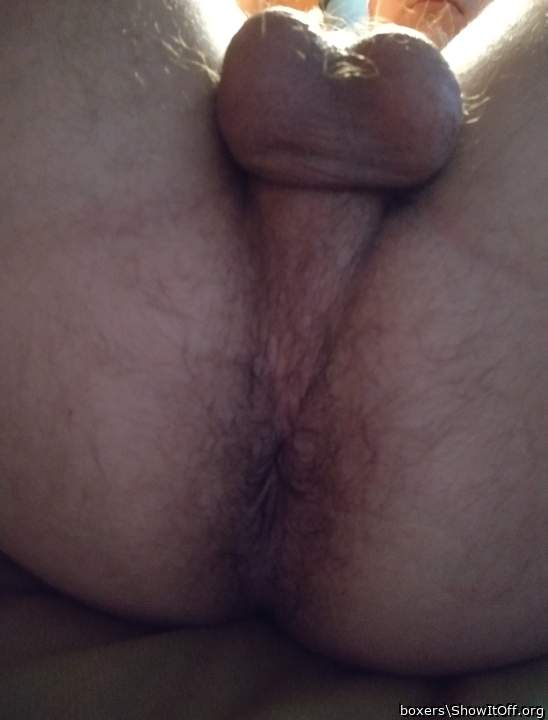 Adult image from boxers
