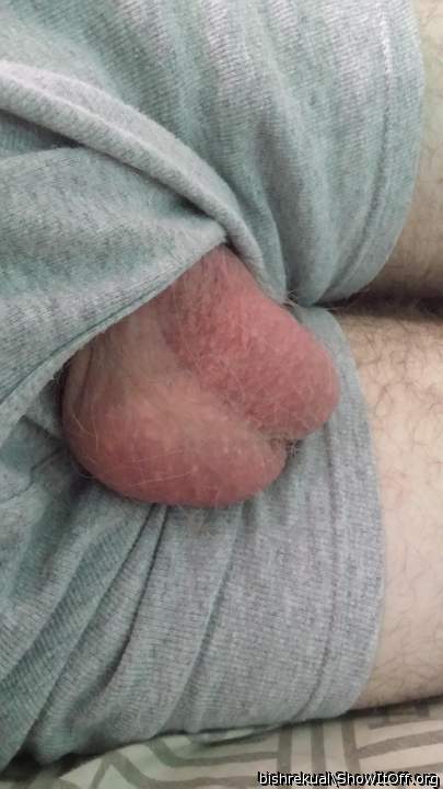 Adult image from bishrekual